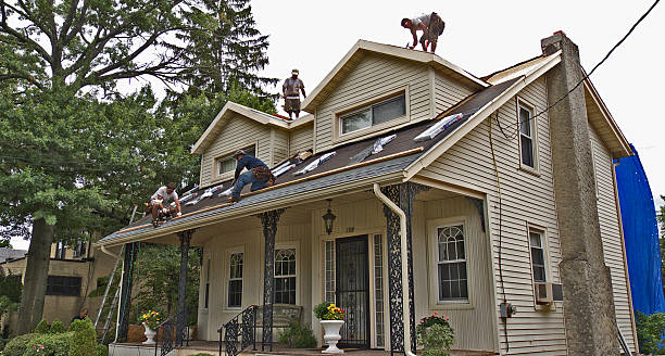 Best Metal Roofing Contractor  in Nashville, IN